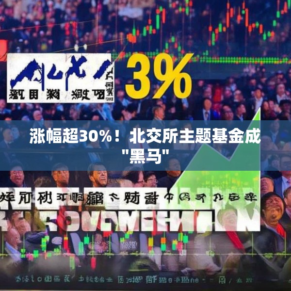 涨幅超30%！北交所主题基金成