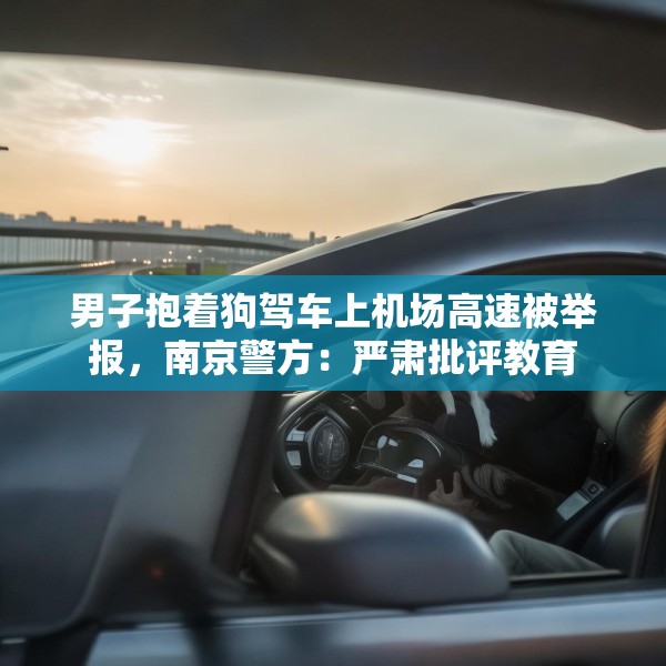 男子抱着狗驾车上机场高速被举报，南京警方：严肃批评教育