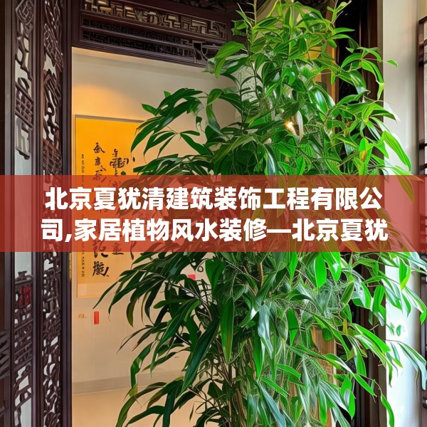 北京夏犹清建筑装饰工程有限公司,家居植物风水装修—北京夏犹清建筑装饰工程有限公司462.a338b339c342fgy.349lkjl