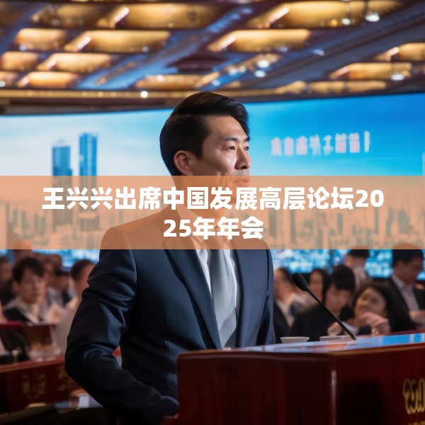 王兴兴出席中国发展高层论坛2025年年会