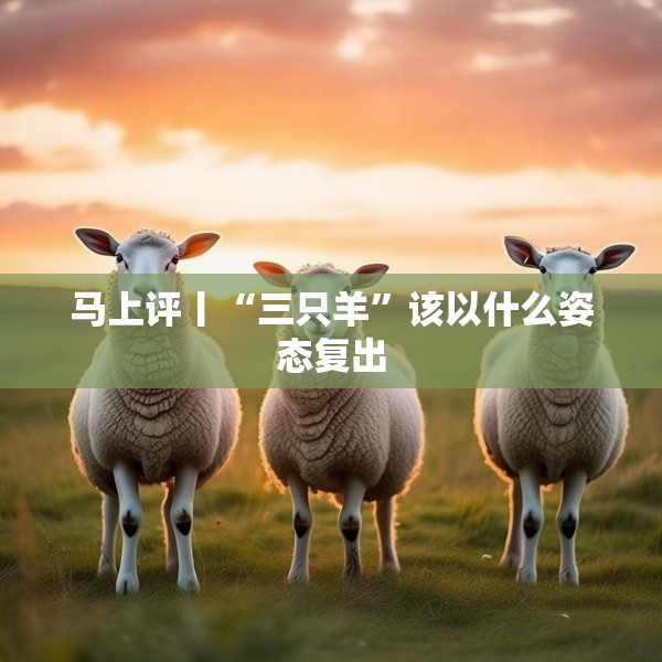 马上评丨“三只羊”该以什么姿态复出