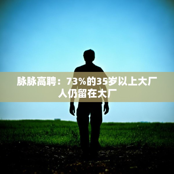 脉脉高聘：73%的35岁以上大厂人仍留在大厂