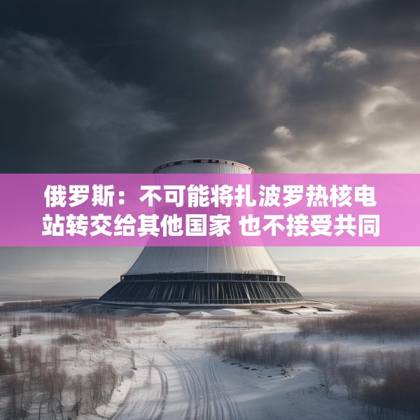 俄罗斯：不可能将扎波罗热核电站转交给其他国家 也不接受共同运营