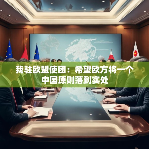 我驻欧盟使团：希望欧方将一个中国原则落到实处