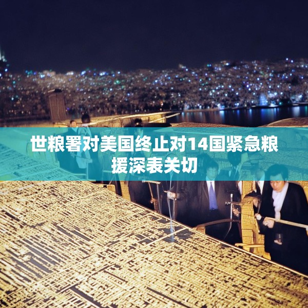 2025年4月8日 第18页