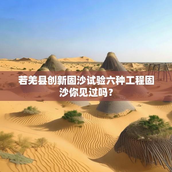 若羌县创新固沙试验六种工程固沙你见过吗？