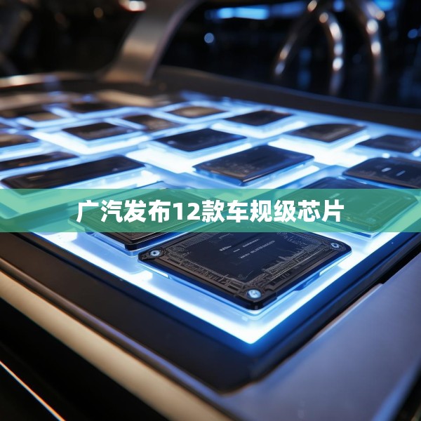 广汽发布12款车规级芯片