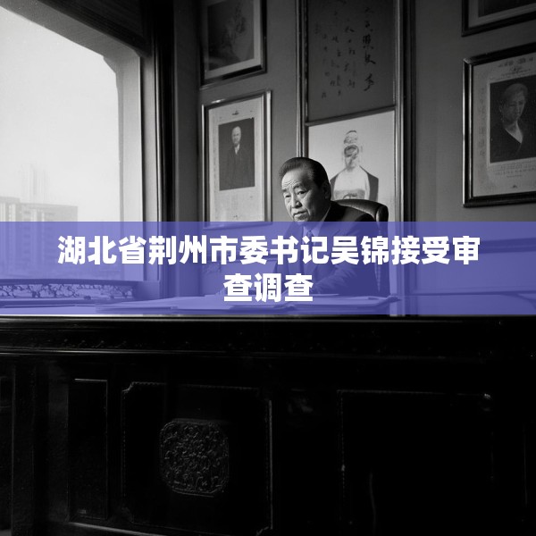 湖北省荆州市委书记吴锦接受审查调查