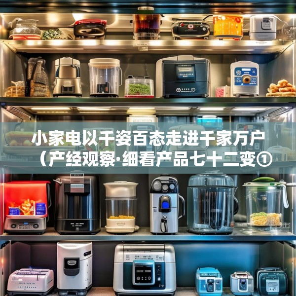 小家电以千姿百态走进千家万户（产经观察·细看产品七十二变①）