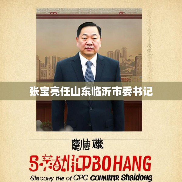 张宝亮任山东临沂市委书记