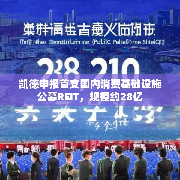 2025年4月19日 第2页
