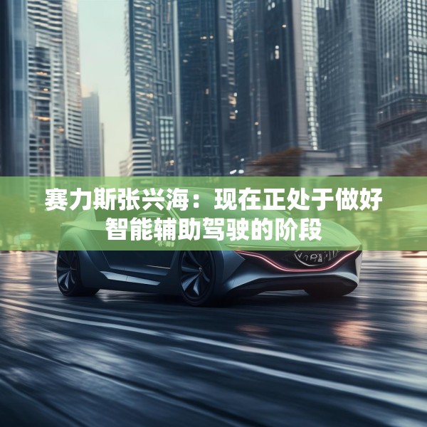 赛力斯张兴海：现在正处于做好智能辅助驾驶的阶段
