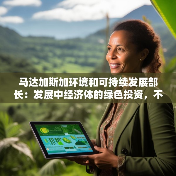 马达加斯加环境和可持续发展部长：发展中经济体的绿色投资，不应仅靠援助