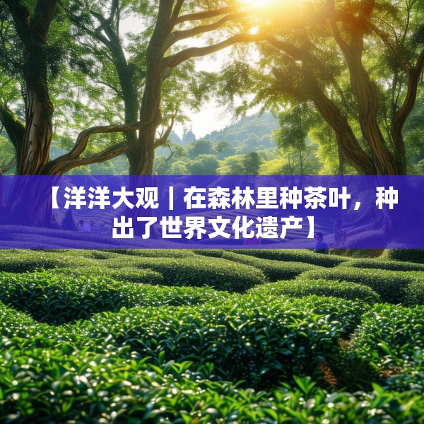 【洋洋大观｜在森林里种茶叶，种出了世界文化遗产】