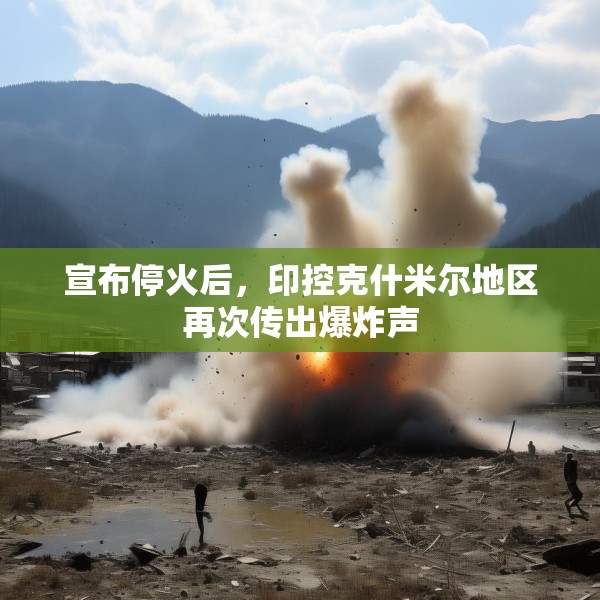 2025年5月 第229页
