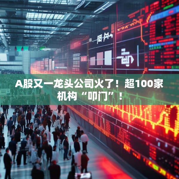 A股又一龙头公司火了！超100家机构“叩门”！