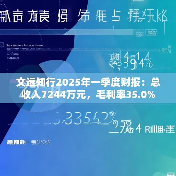 文远知行2025年一季度财报：总收入7244万元，毛利率35.0%