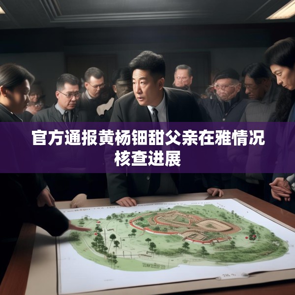 官方通报黄杨钿甜父亲在雅情况核查进展