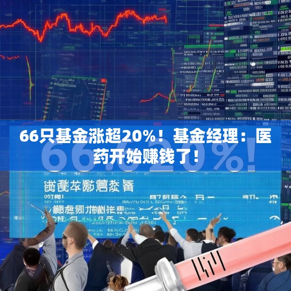 66只基金涨超20%！基金经理：医药开始赚钱了！
