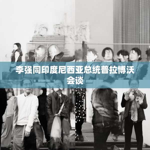 李强同印度尼西亚总统普拉博沃会谈