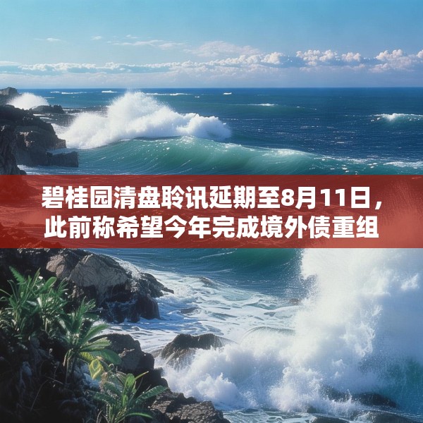 碧桂园清盘聆讯延期至8月11日，此前称希望今年完成境外债重组