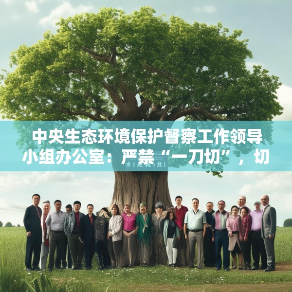 中央生态环境保护督察工作领导小组办公室：严禁“一刀切”，切实减轻基层负担