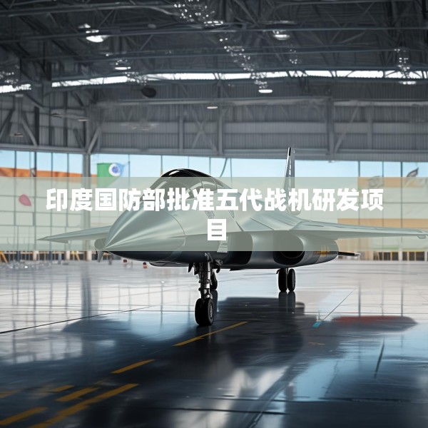 印度国防部批准五代战机研发项目