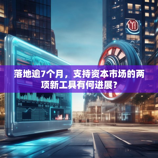 落地逾7个月，支持资本市场的两项新工具有何进展？
