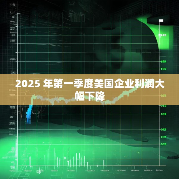 2025 年第一季度美国企业利润大幅下降