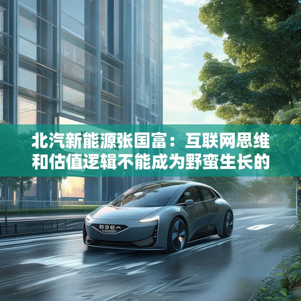 北汽新能源张国富：互联网思维和估值逻辑不能成为野蛮生长的理由