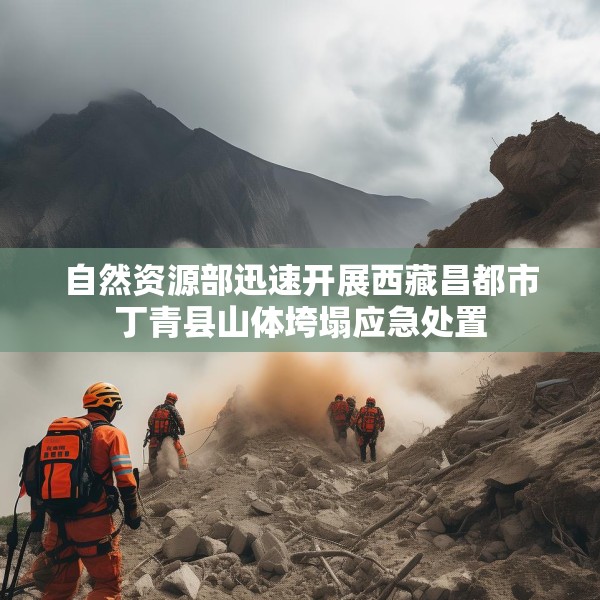 自然资源部迅速开展西藏昌都市丁青县山体垮塌应急处置