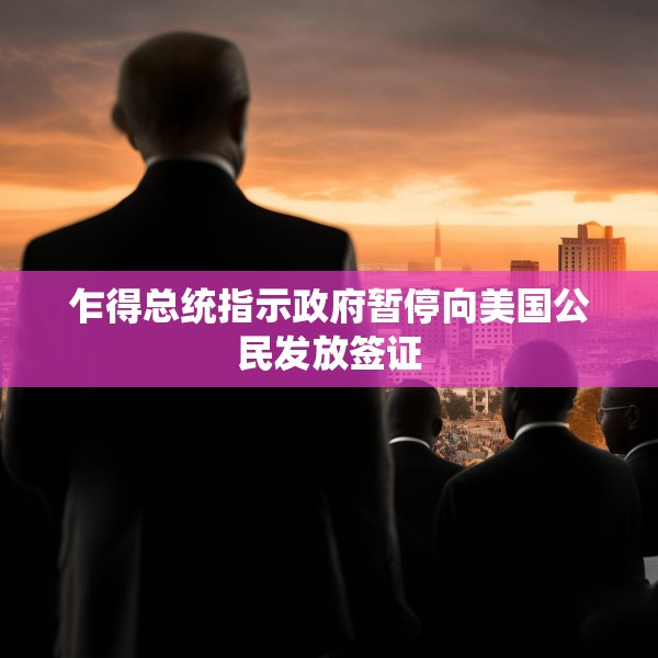 乍得总统指示政府暂停向美国公民发放签证