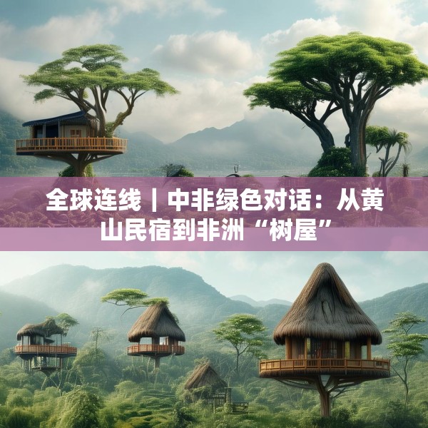 全球连线｜中非绿色对话：从黄山民宿到非洲“树屋”