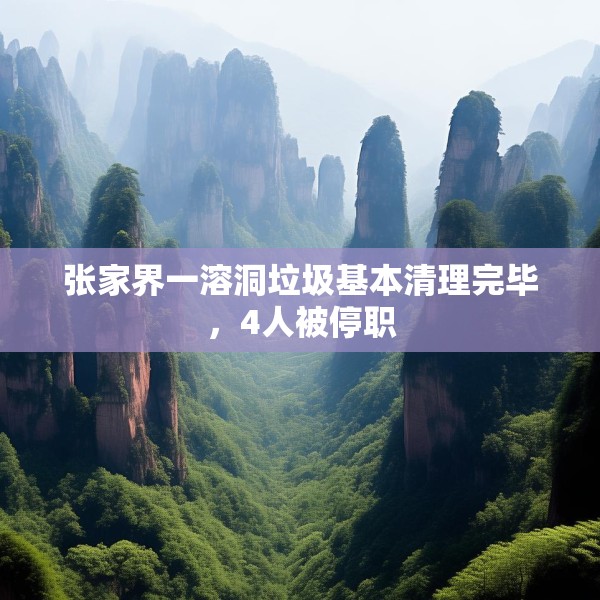 张家界一溶洞垃圾基本清理完毕，4人被停职