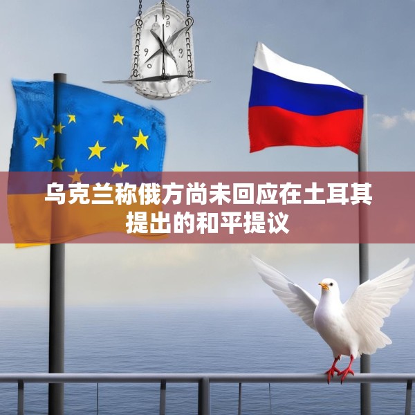 乌克兰称俄方尚未回应在土耳其提出的和平提议