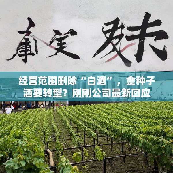 经营范围删除“白酒”，金种子酒要转型？刚刚公司最新回应