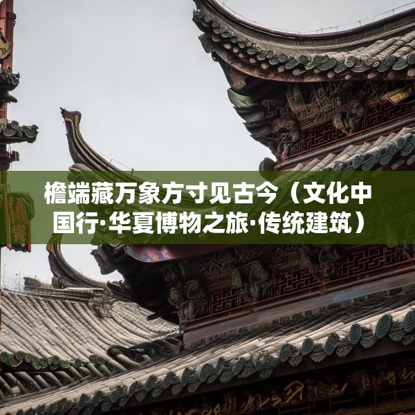 檐端藏万象方寸见古今（文化中国行·华夏博物之旅·传统建筑）